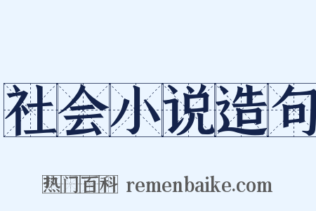 社会小说造句是什么意思的图片